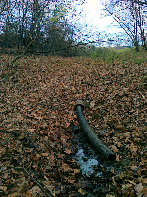 prameniště Pod Březovskou (4230) - listopad 2010