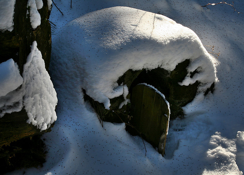 studánka Dakota I (4356) - leden 2011