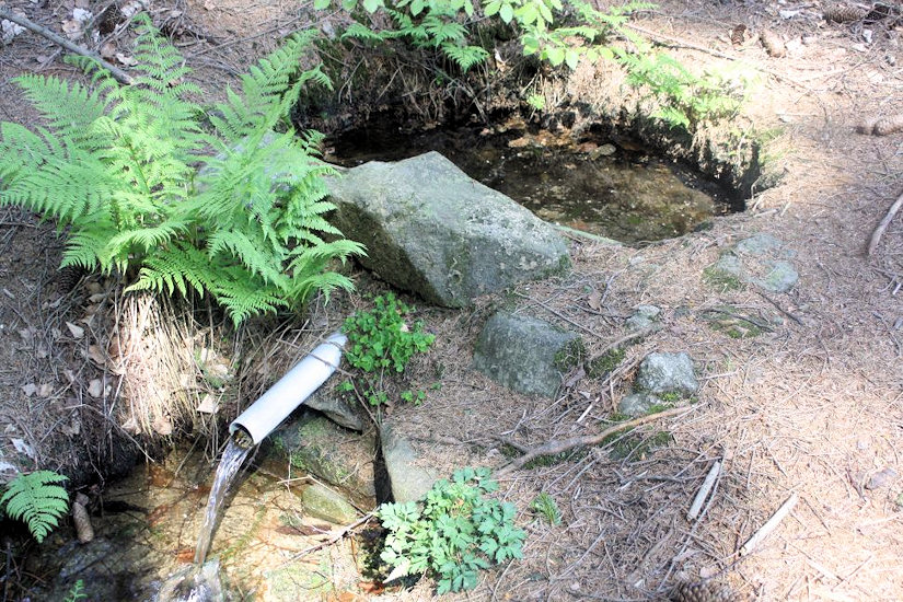 studánka Pod Opálenou (4936) - srpen 2011
