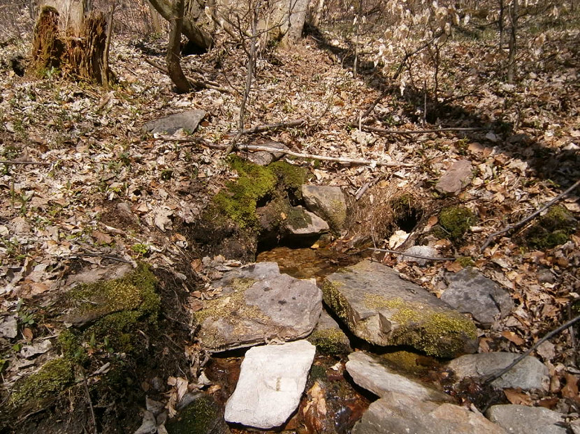 pramen bez jména (5600) - duben 2012