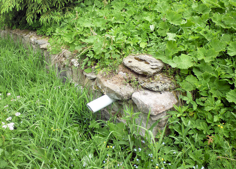 studánka Nad pomníkem (5760) - červen 2012