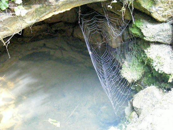 studánka Dušička (5896) - srpen 2012