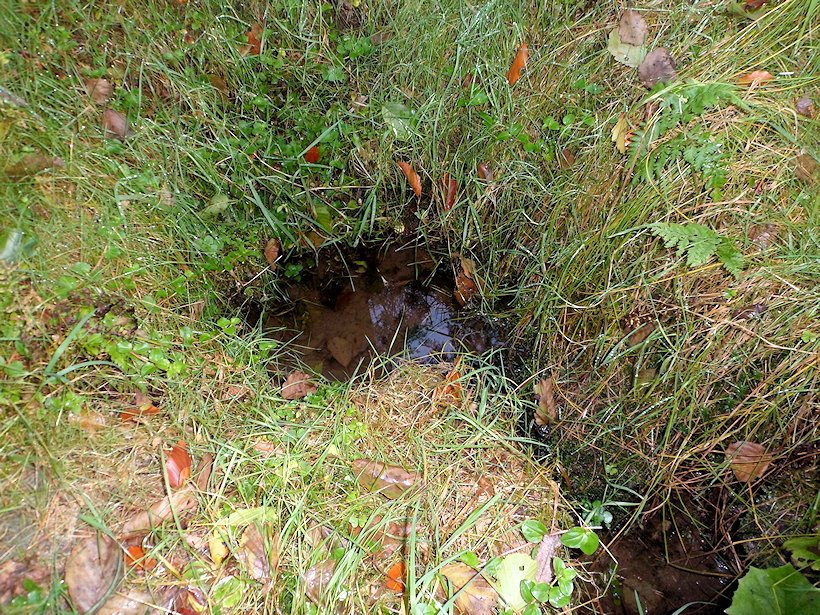 studánka bez jména (6111) - říjen 2012