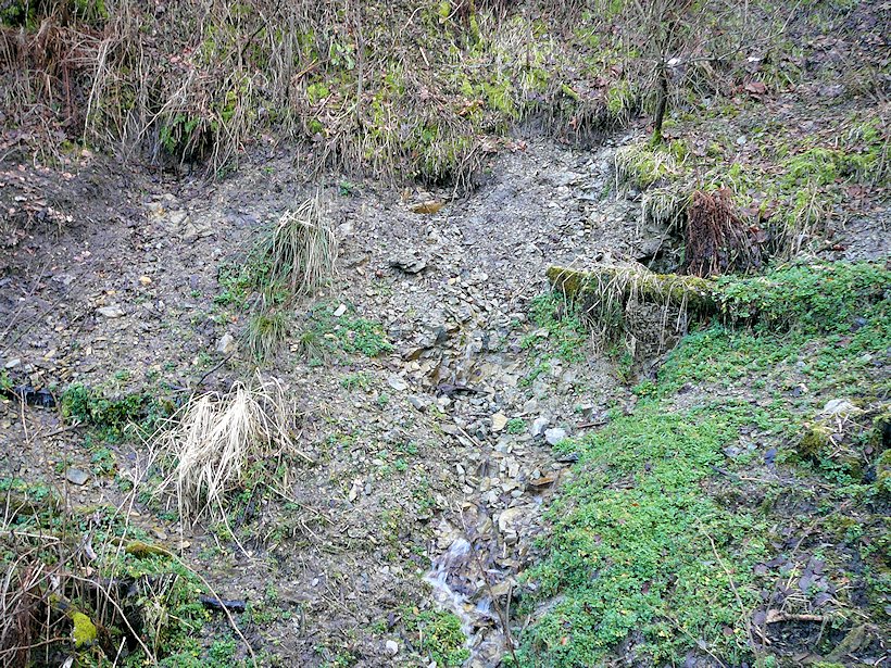 prameniště Na Šklíbandě (6150) - říjen 2012