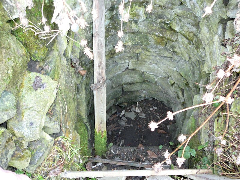 studánka U sv. Prokopa (6377) - leden 2013