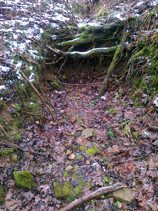 studánka Nad osadou (6408) - leden 2013