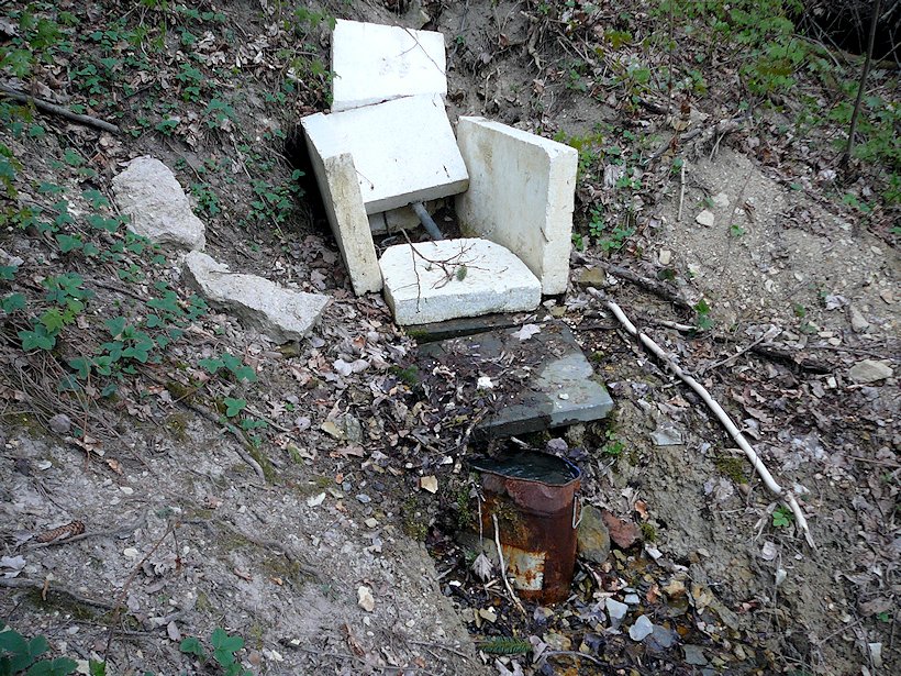 studánka Pod Zlatou horou (6752) - květen 2013
