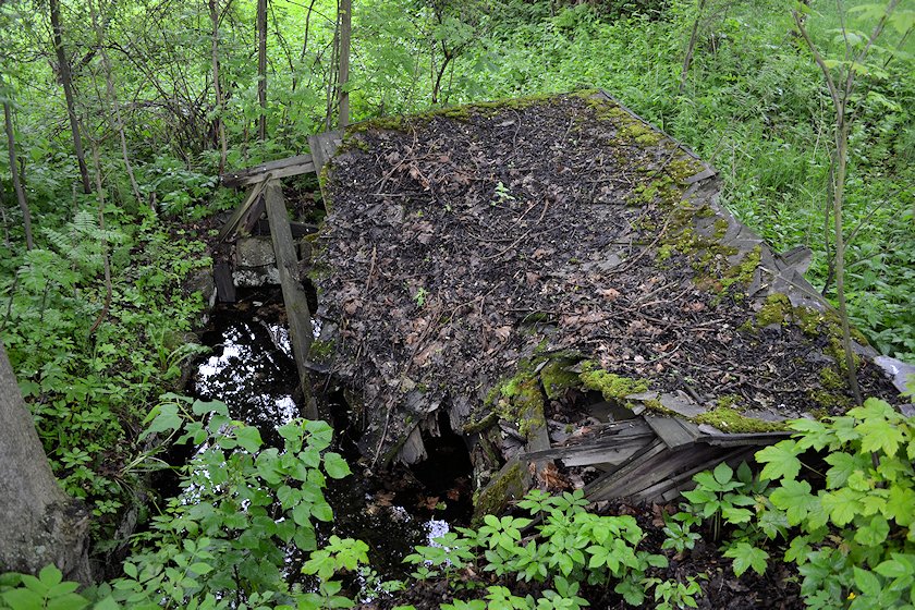 Studánka Hampejs (6901) - červen 2013