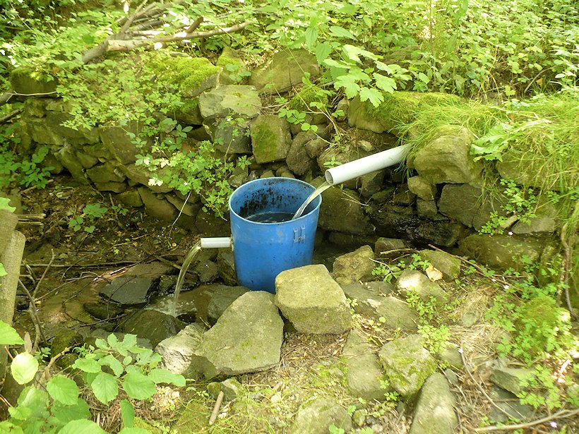 studánka bez jména (7144) - červenec 2013