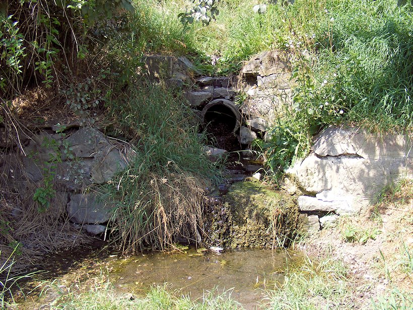 jiný vodní zdroj bez jména (7254) - srpen 2013