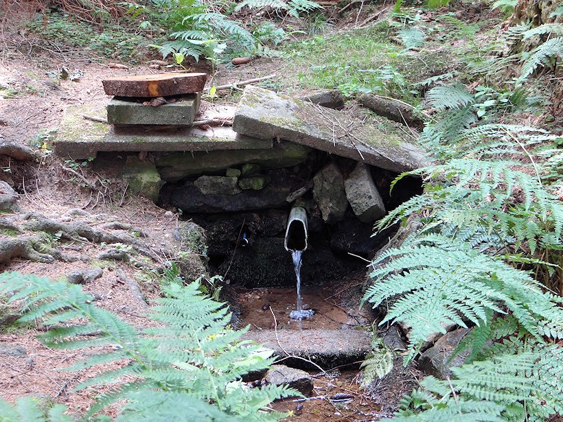 studánka V Kopaninách (7363) - srpen 2013