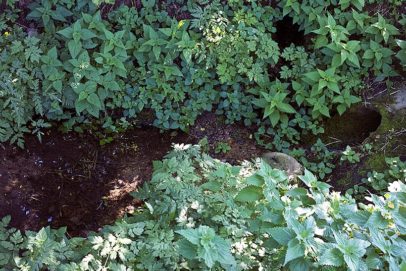 jiný vodní zdroj Březový potok (7561) - září 2013