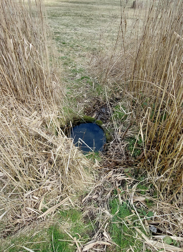 studánka Na Přívratské (7625) - březen 2023