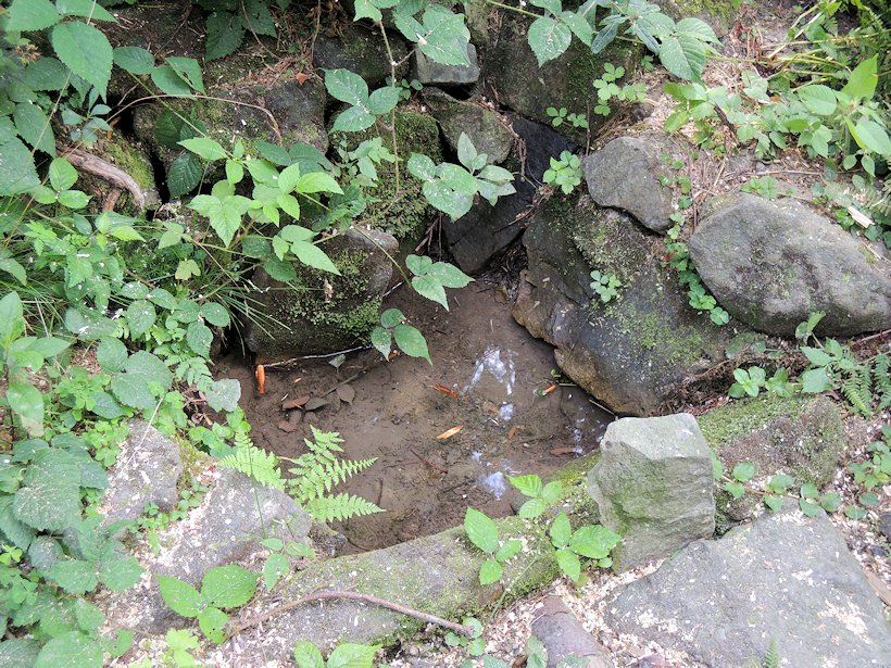 studánka bez jména (7653) - říjen 2013