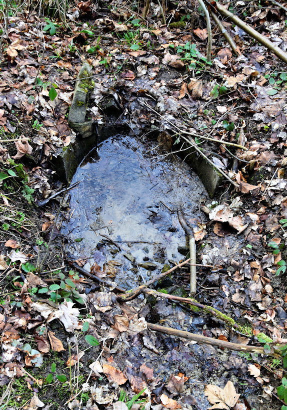 studánka Nad Hříbky (7902) - duben 2021