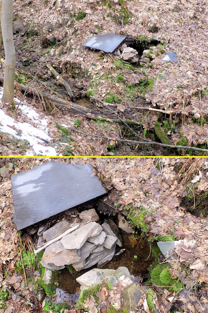 Suchdolská studánka (8027) - únor 2014