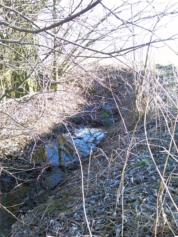 pramen Nad Květnou (8060) - březen 2014