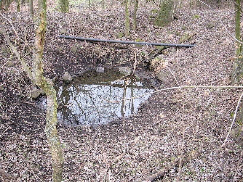 jiný vodní zdroj bez jména (8064) - březen 2014