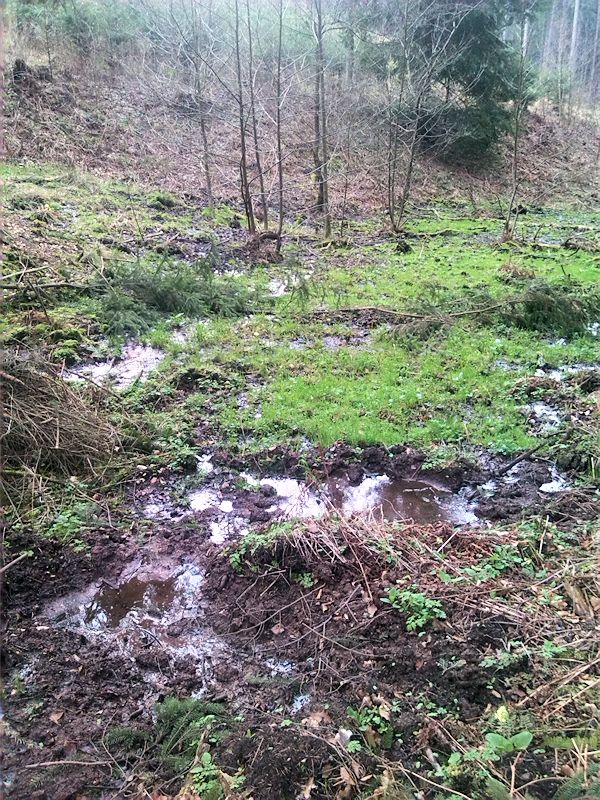prameniště V Dobroučském (8276) - duben 2014