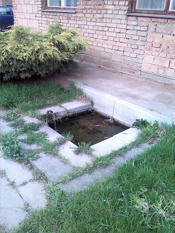 Rybičková studánka (8278) - duben 2014