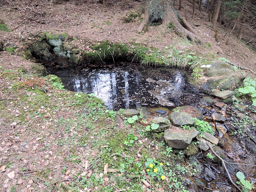 studánka U studánek (8287) - duben 2014