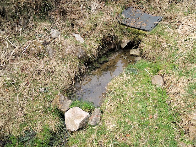 studánka Nad Švédem (8288) - duben 2014