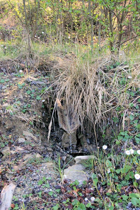 studánka Pod posedem (8339) - duben 2014
