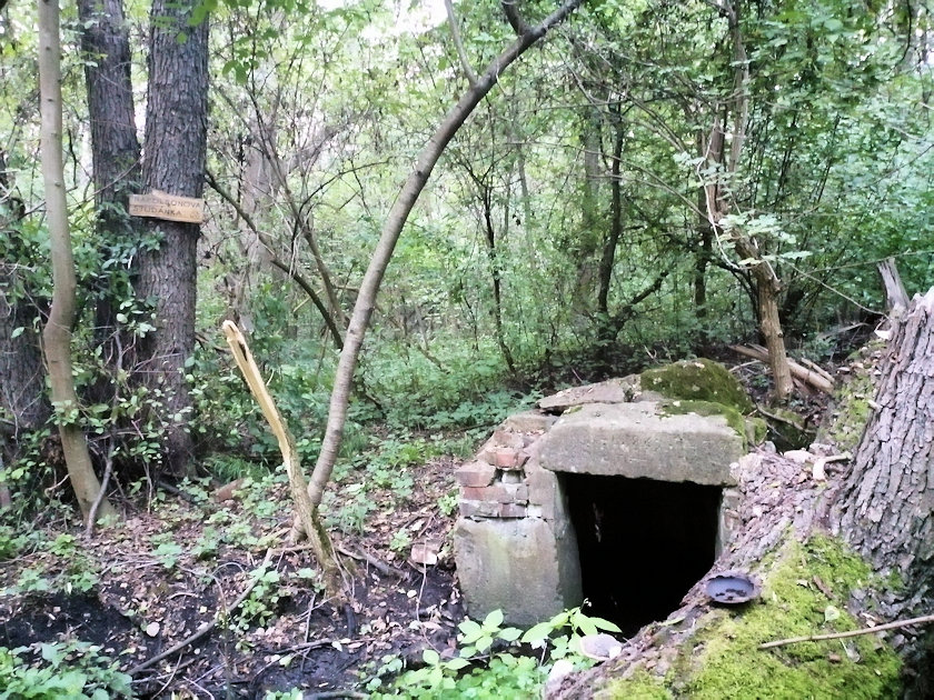 Napoleonova studánka (8349) - srpen 2022