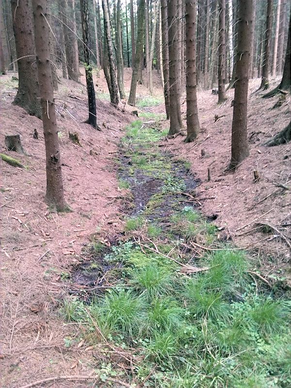 pramen Nad skládkou (8439) - květen 2014