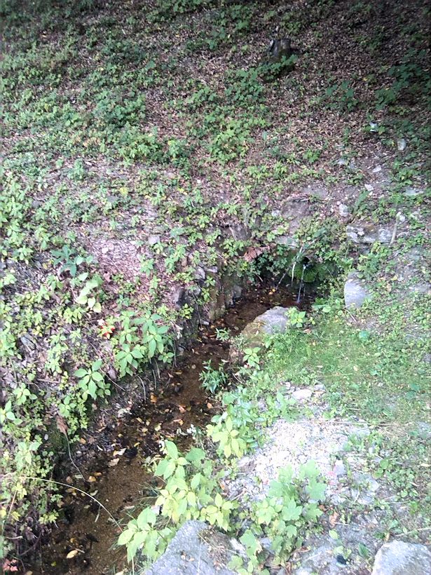 studánka U Korýtka (10015) - červenec 2015