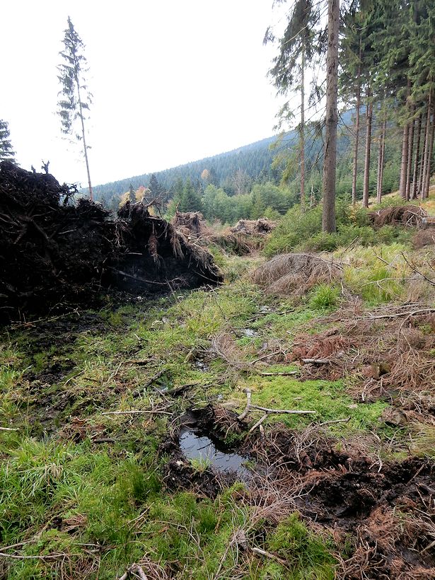 pramen Nad vývratem (10212) - říjen 2015