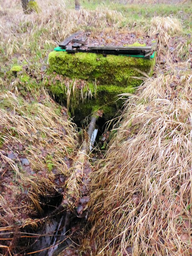 studánka bez jména (10289) - prosinec 2015