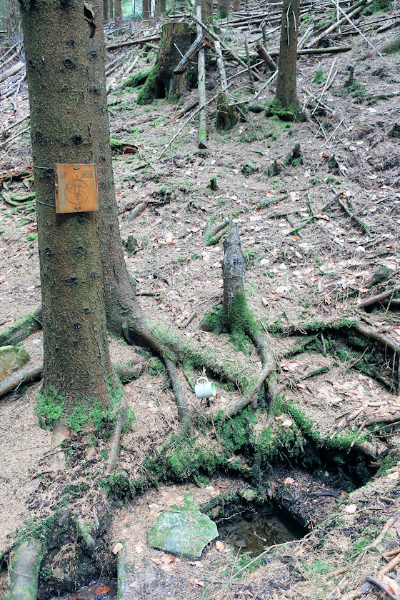 pramen Hombrácká studánka (10295) - květen 2021