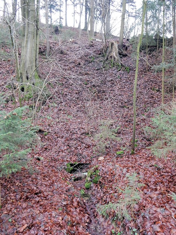 studánka Nad koupalištěm (10312) - prosinec 2015
