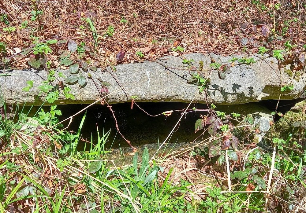 studánka U Jarmilky (10337) - datum neznámé