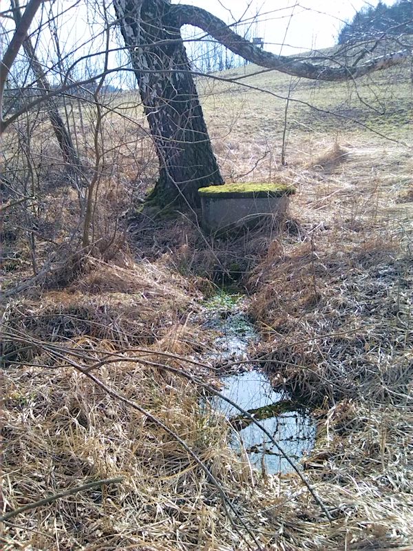 pramen Pod břízou (9565) - březen 2015