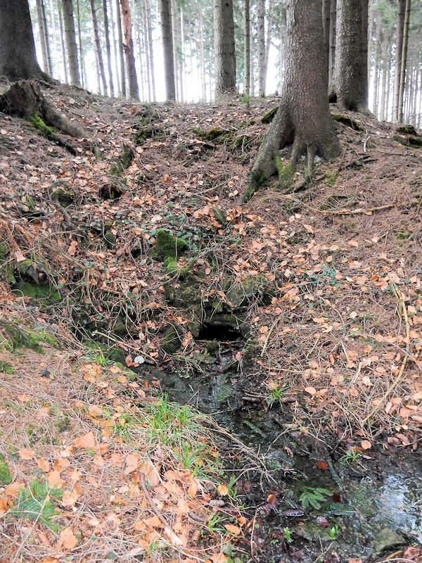 studánka Nad vyhořelým srubem (10557) - duben 2016