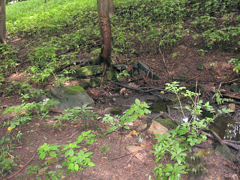 studánka Kubátka (11033) - říjen 2016