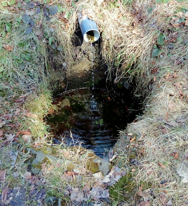 studánka V závrší (11146) - březen 2017