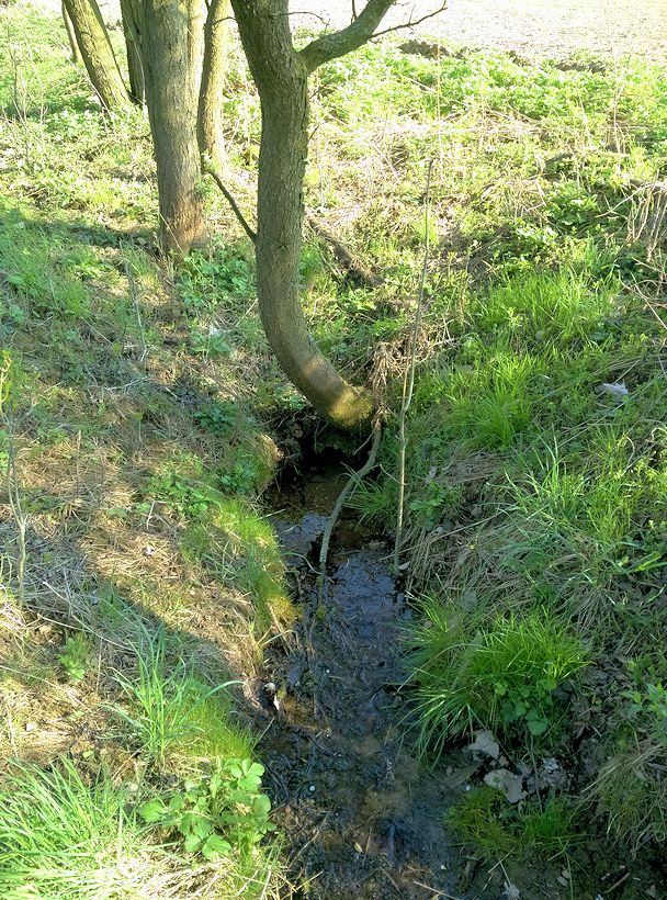 studánka Kabát (11245) - duben 2017