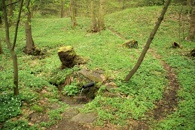 pramen Na Gruntu (11270) - květen 2017