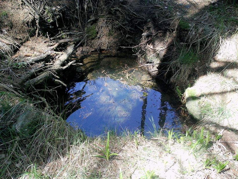 studánka bez jména (11291) - květen 2017