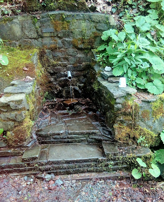 studánka Pod Filipkou (11393) - červen 2017