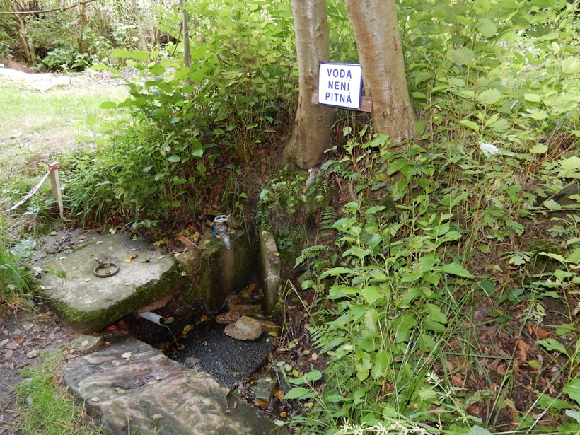 Vranická studánka 1 (11489) - červenec 2017