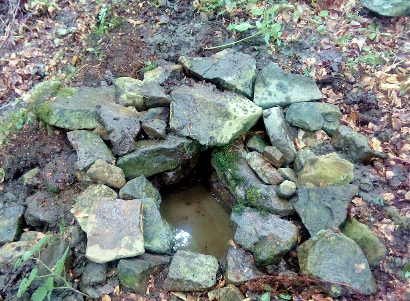 studánka Pod Kozincem (11628) - srpen 2017