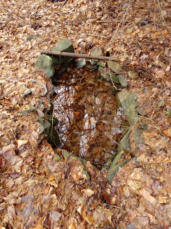 studánka U Ovčárny (11847) - leden 2018