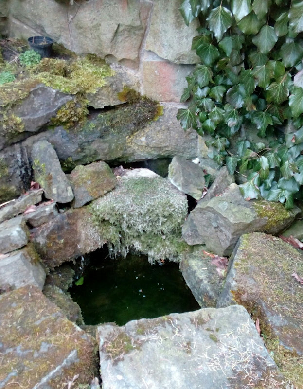 studánka V Alžbětinkách (11890) - březen 2018