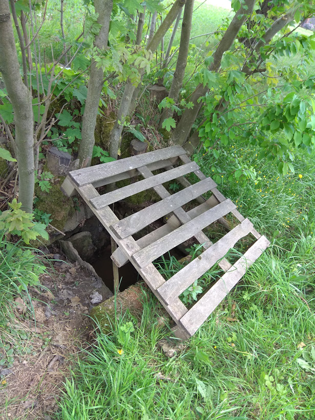studánka U silnice (12048) - květen 2018