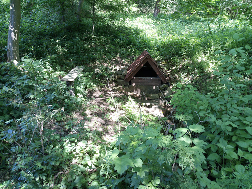 studánka bez jména (12104) - květen 2018