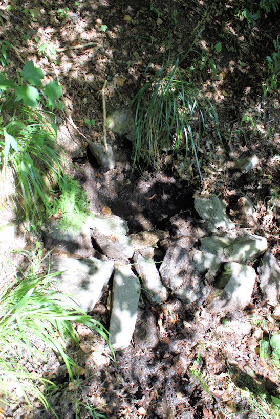 studánka U Hasičské cesty (12140) - červen 2018 studánka U Hasičské cesty (12140) - červen 2018
